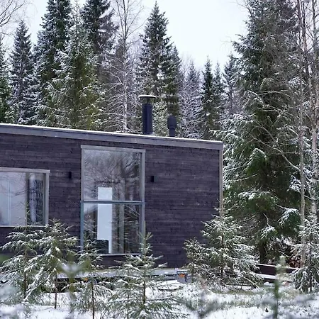 Unique With Breathtaking Northern Light View Villa